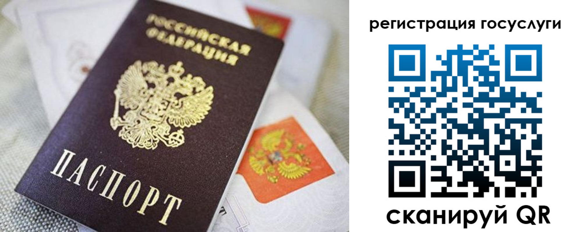 прописка паспорт в Ростове